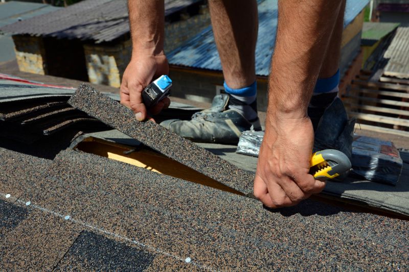 Asphalt Roof Repair - Crack Fixing