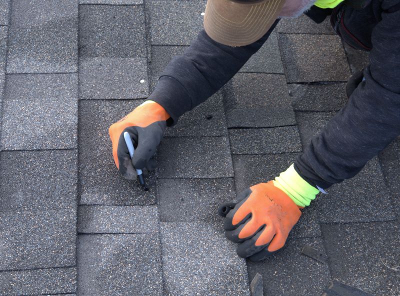 Asphalt Roof Repair - Granule Loss