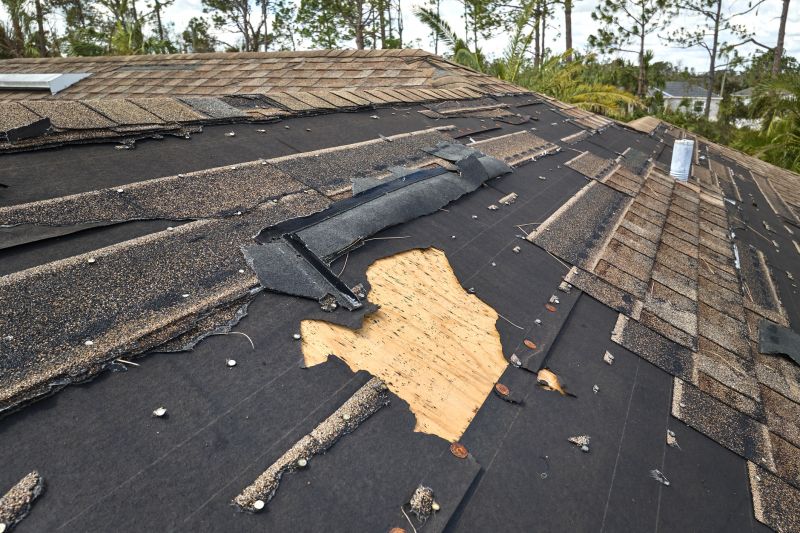 Storm Damage Repair Specialists